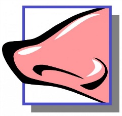 The NOSE Caricature Company